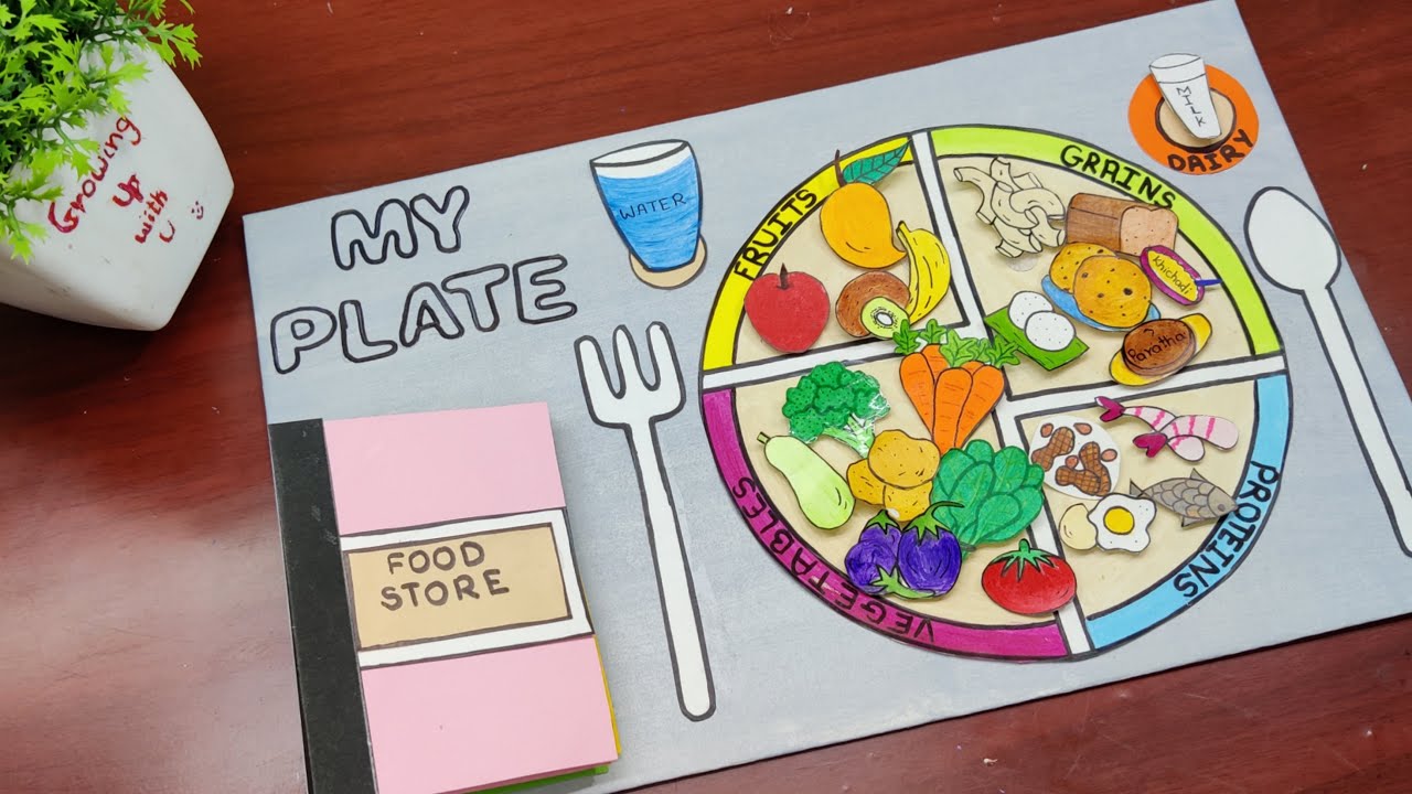 My plate l Types of food