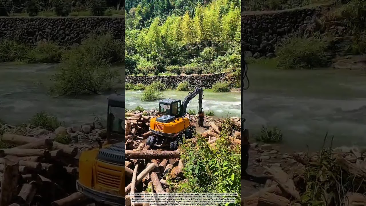 The work of a timber transporter in the forest is not easy
