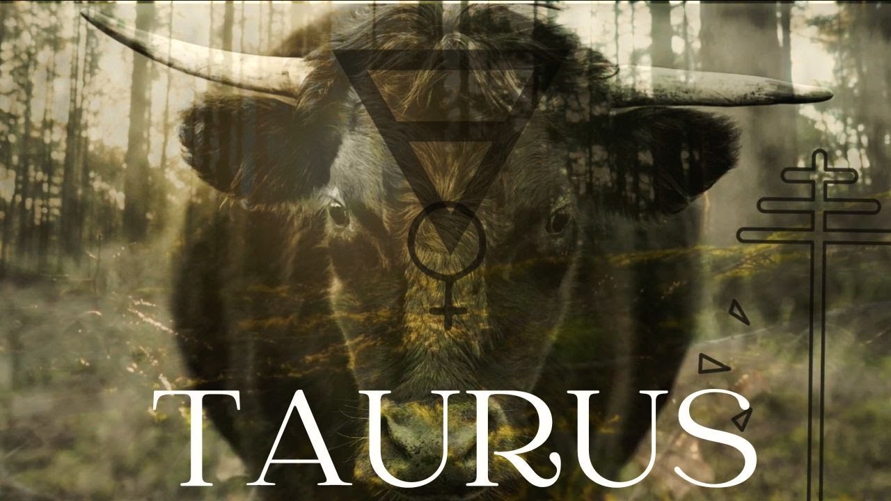 Harness the healing, grounding power of the Bull | Taurus | didgeridoo, handpan | calming, sleep