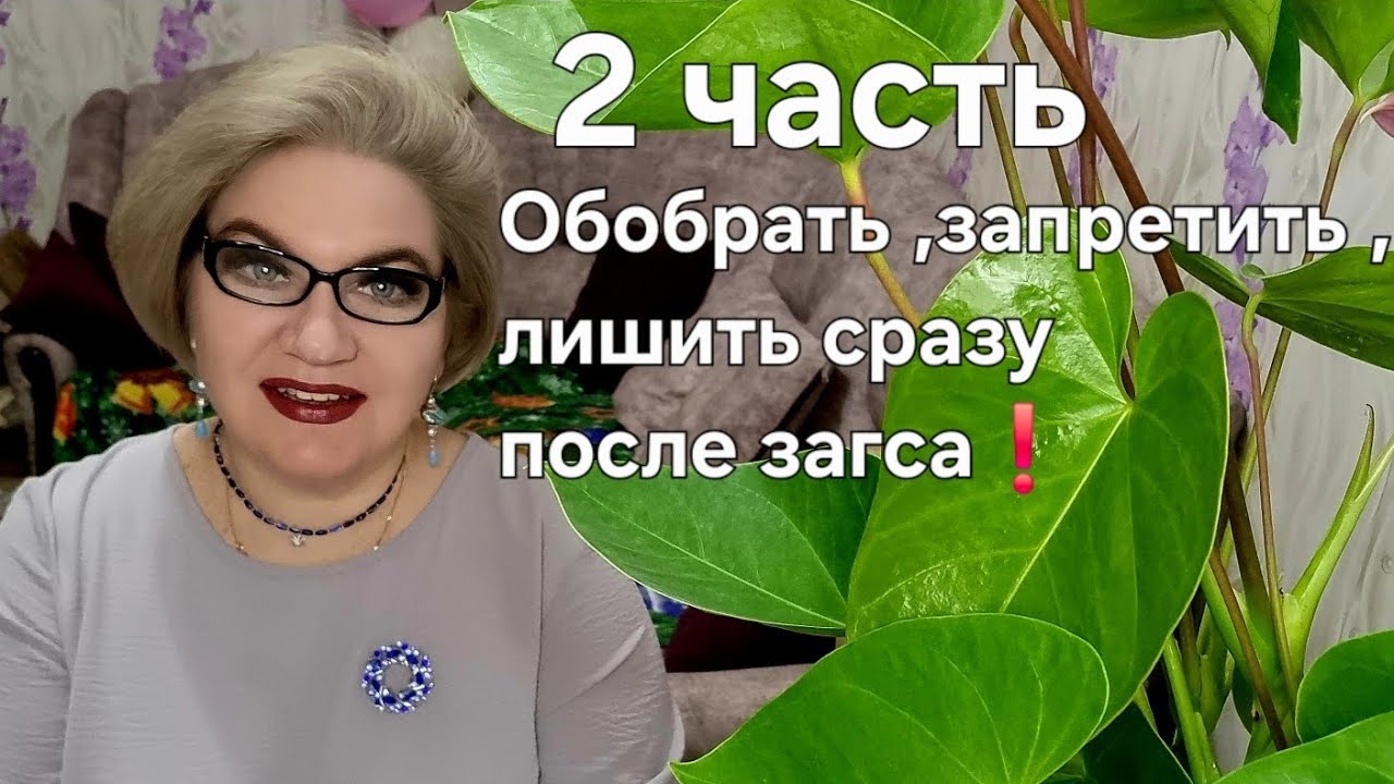 Обобрать, запретить, лишить сразу после загса❗️