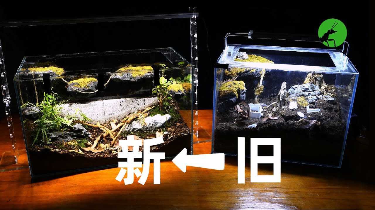 把旧蚁巢里的蚂蚁赶到新巢里，需要几步？