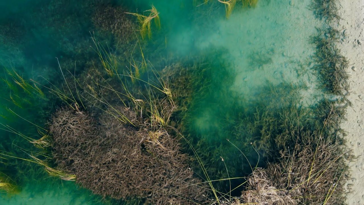 Arakapas Reservoir - Drone video