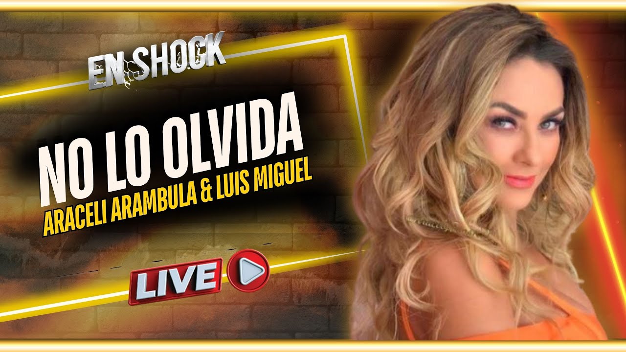 &iexcl; ARACELY ARAMBULA SUFRE POR LUIS MIGUEL !