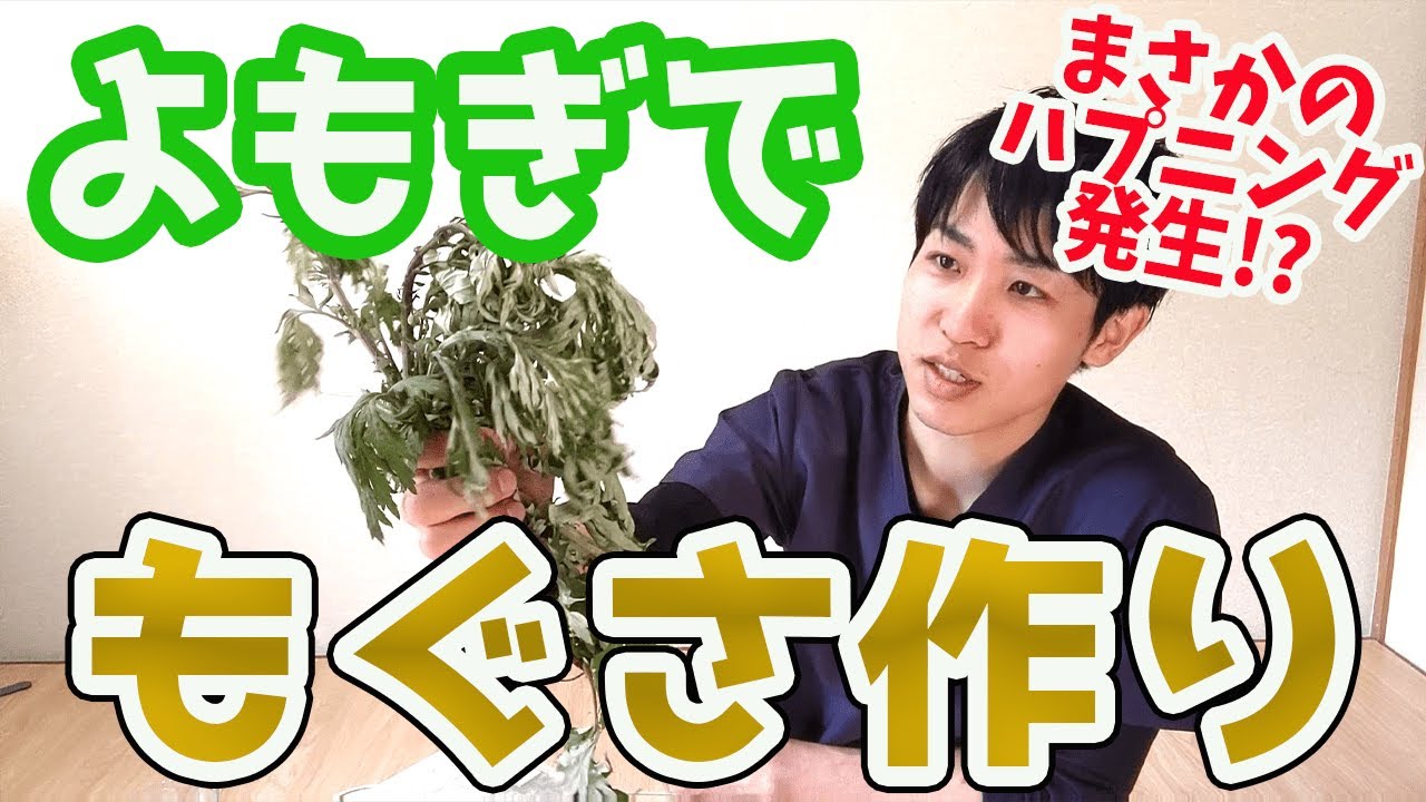 【お灸】よもぎで「もぐさ」を作ってみた！ハプニングあり