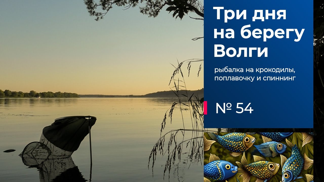 54 / Рыбалка с ночёвкой / Волга / Донки / Поплавочная удочка / Спиннинг / Тверская область / Лето