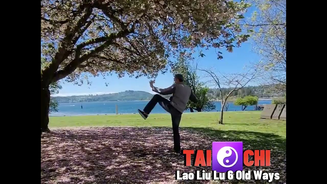 Taichi Yang Style Lao Liu Lu