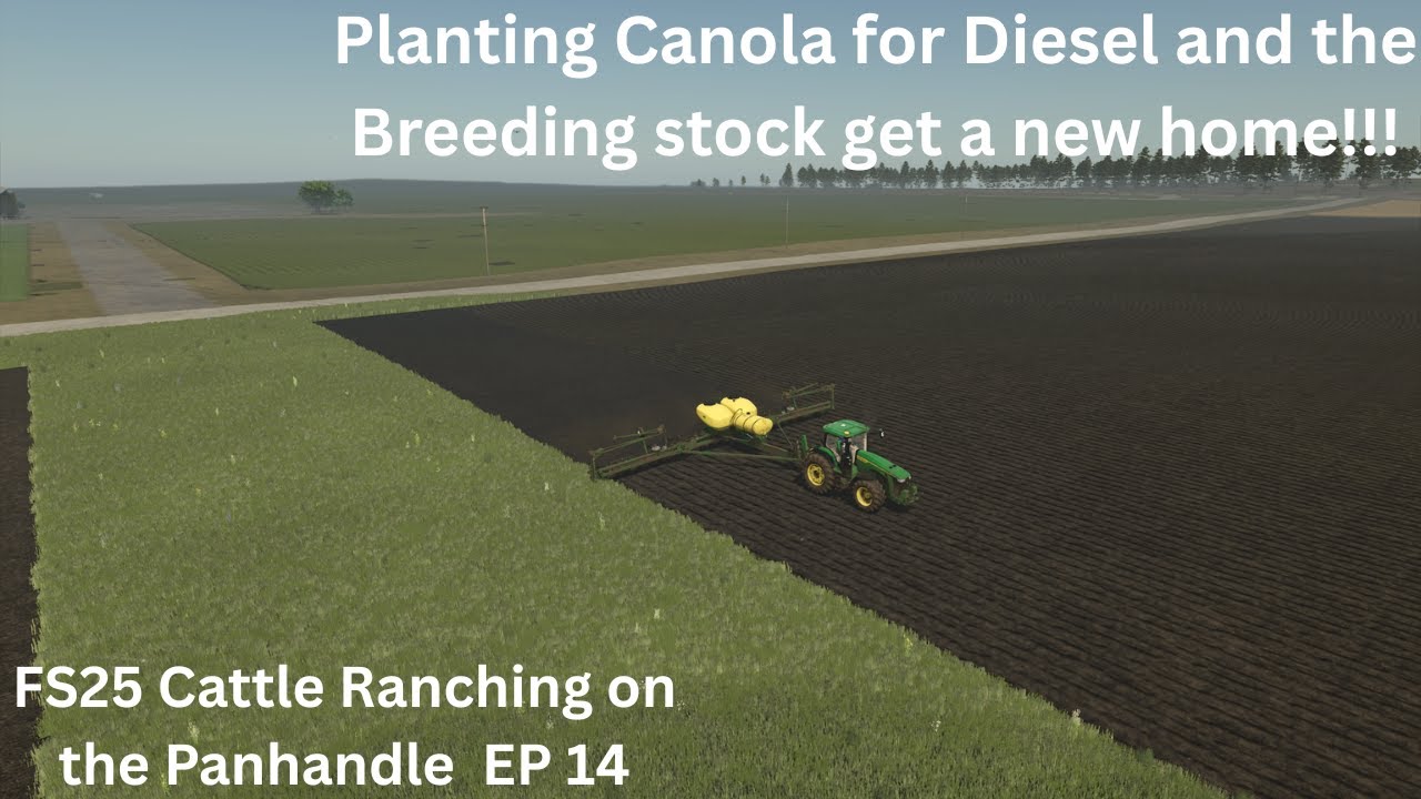 FS25 Ranching Series Building a Beef Cattle Ranch on The Panhandle EP 14 Planting Canola for Diesel.