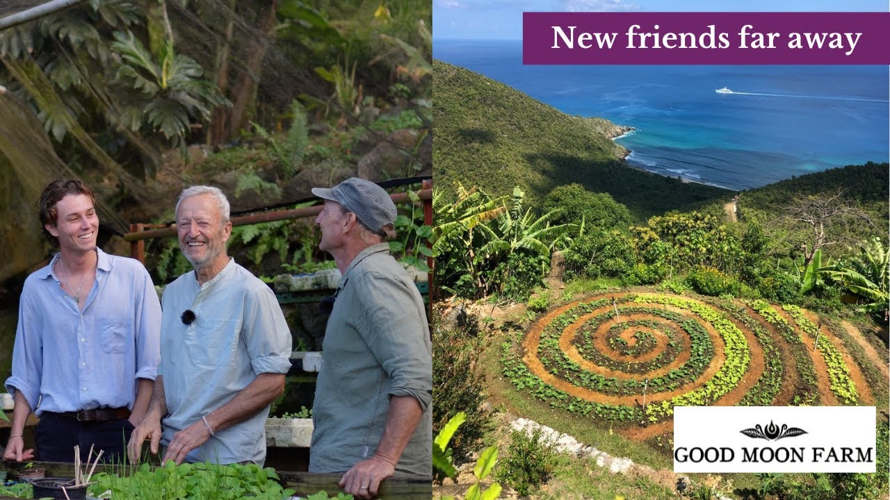 Tropical Mountain Garden