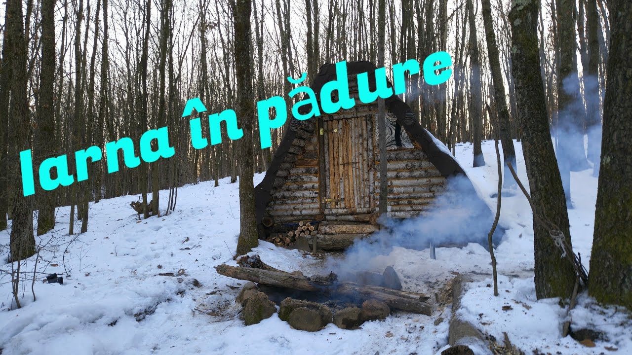 La coliba din pădure...ger puternic și multe urme de animale sălbatice 