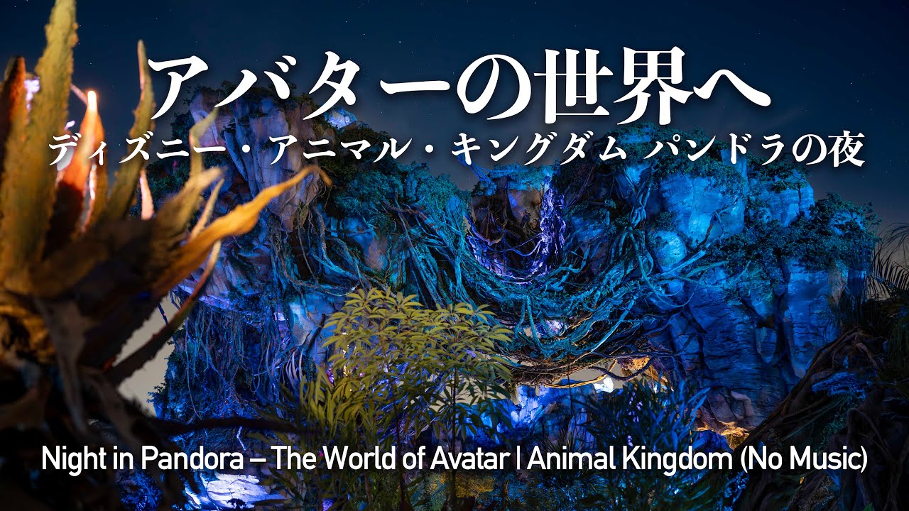 【没入映像】アバターの世界へ / アニマルキングダム パンドラの夜  / A Fantastical Night in Pandora – The World of Avatar