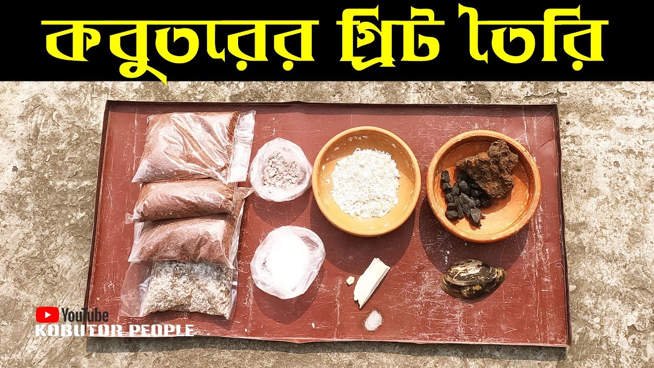 কবুতরের গ্রিট তৈরির নিয়ম আমার পদ্ধতি | Pigeon Grit | Rajon | Pigeon Bird | Kobutor Palon Bangladesh