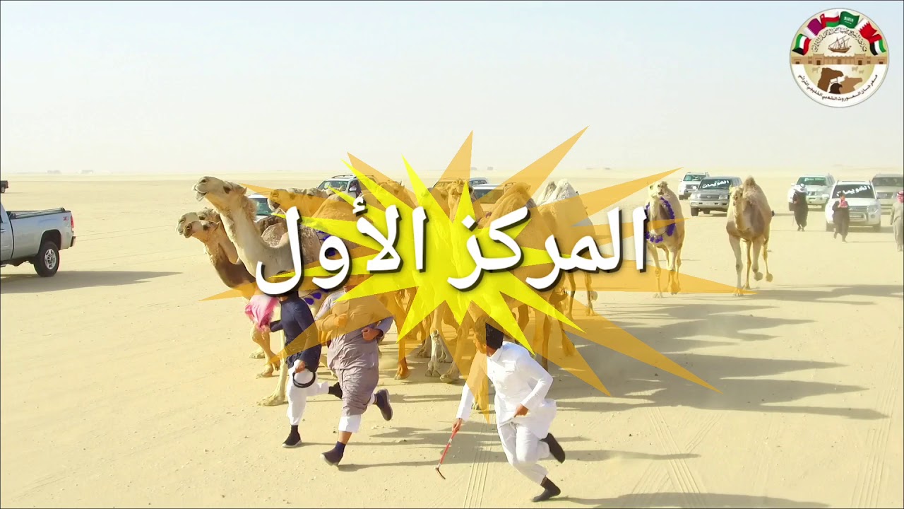 منقية أبناء سالم محمد الكفيف الحاصلة على المركز الأول بمزاين الكويت شوط تلاد الشقح 2020/1/9