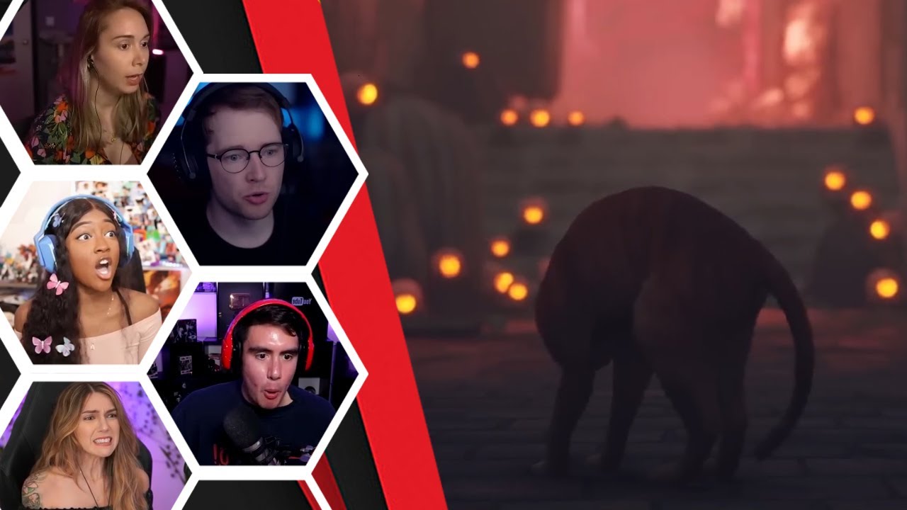 Lets Player's Reaction To The Very First Zerk Chase Sequence - Stray
