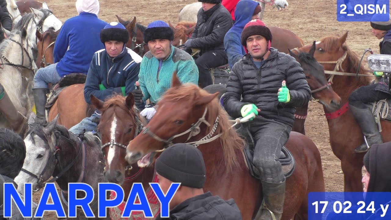 SAMARQAND NARPAY KATTA KÒPKARISI OXIRGI 2_QISM 17 02 24 YIL #lak