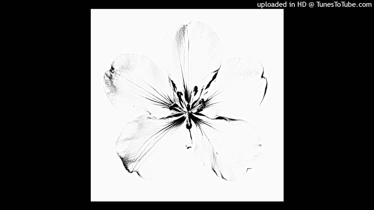 ginseng + silentheaven + misogi + one2nine3 + pinknoise type beat ~ ⭑╪º┘ä┘à╪º╪╪º┘@┘à╪º╪⭑