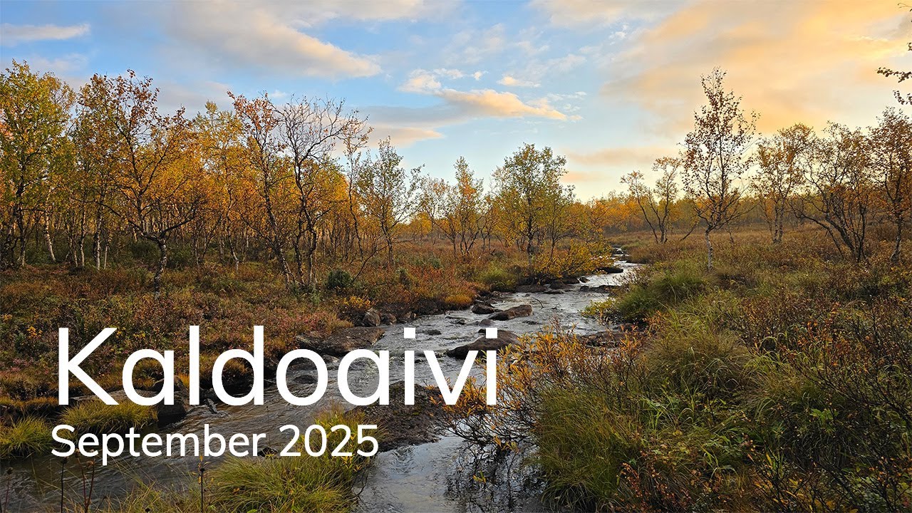 Hiking through Kaldoaivi wilderness area. Autumn colors. Fishing. Northern Lights. No talking.