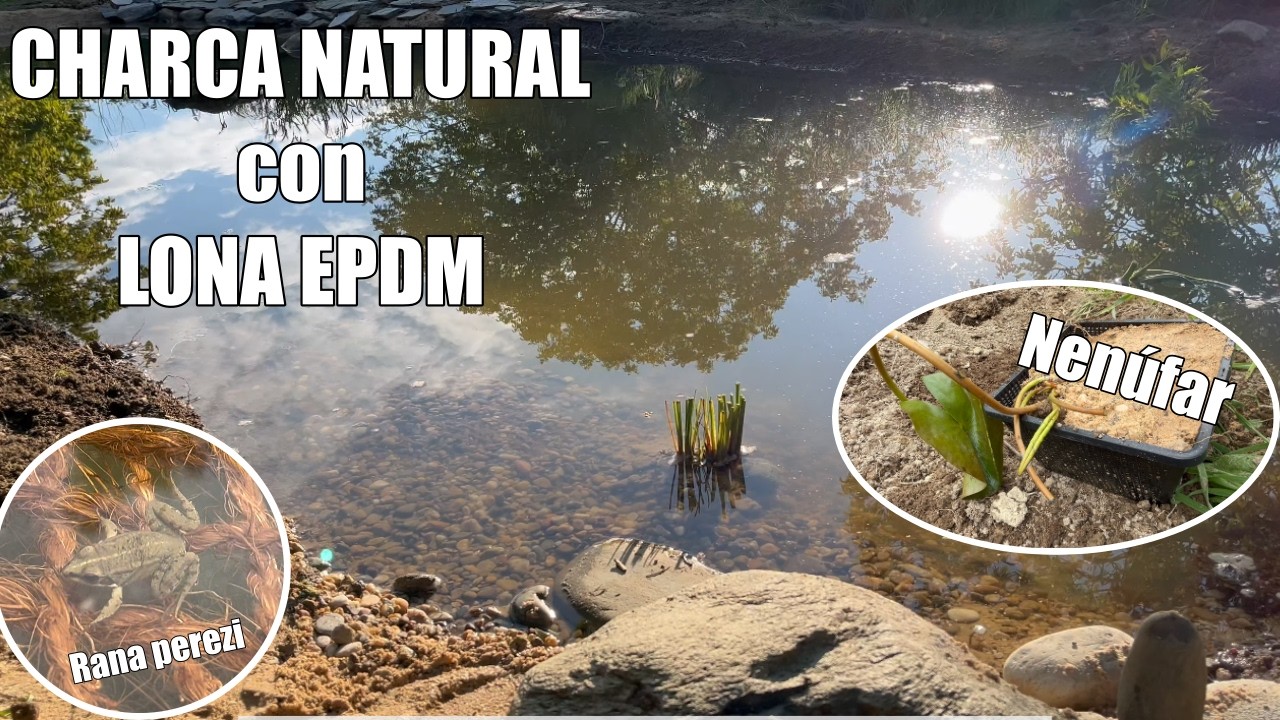 COMO HACER un Estanque o Charca Natural con LONA EPDM - Nueva charca