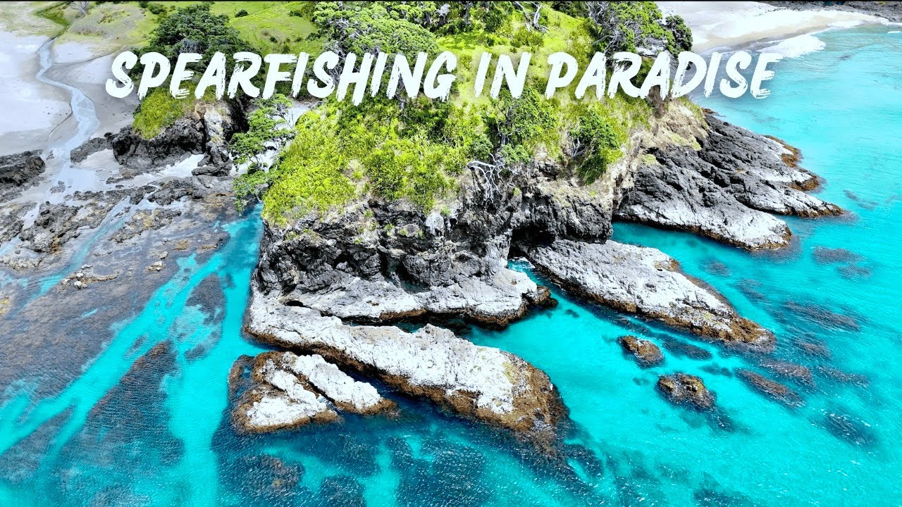 SPEARFISHING IN PARADISE - Freediving and Crayfish Hunting in New Zealand