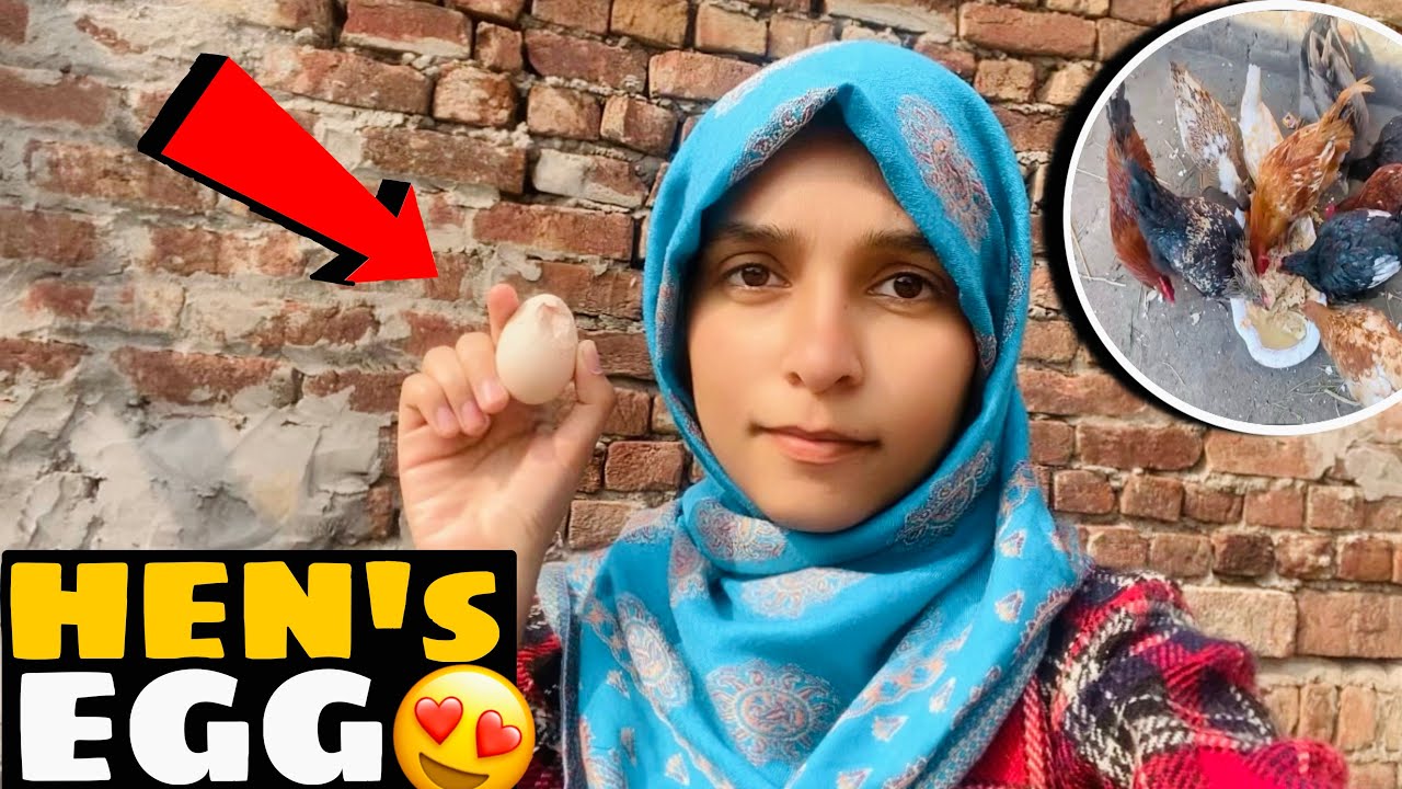❤️Meri Black Murgi Nay Egg Diya😍😁| GhulamZahra | ChotuGang#ghulamzahraa #dietitianghulamzahra