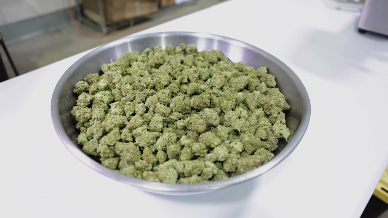How Trebles hash Infused pre-rolls are made￼