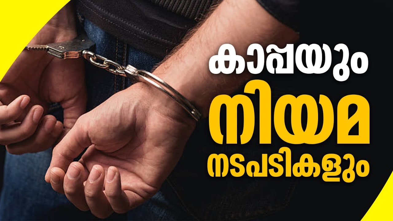 എന്താണ് കാപ്പ നിയമം? കാപ്പ ചുമത്തുന്നത് എങ്ങനെ? |  Kerala Anti-social Activities (Prevention) Act