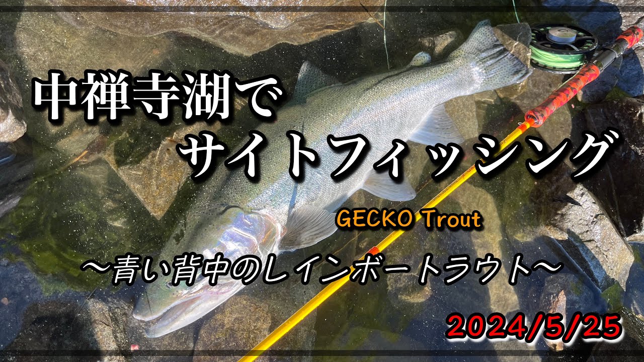 中禅寺湖でサイトフィッシング　〜青い背中のレインボートラウト〜