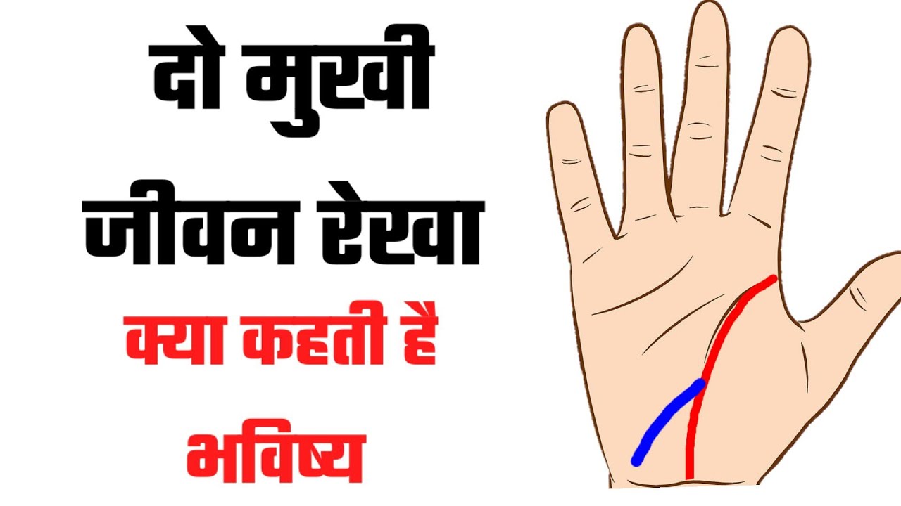2 Mukhi jivan rekha | दो मुखी जीवन रेखा, क्या कहती है भविष्य | palmistry