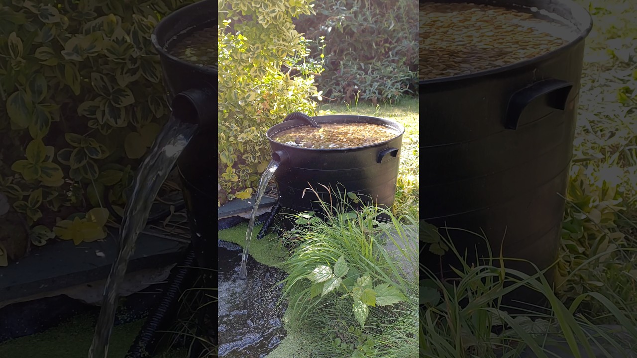 Get Crystal Clear Water ~Pond Filter Build~