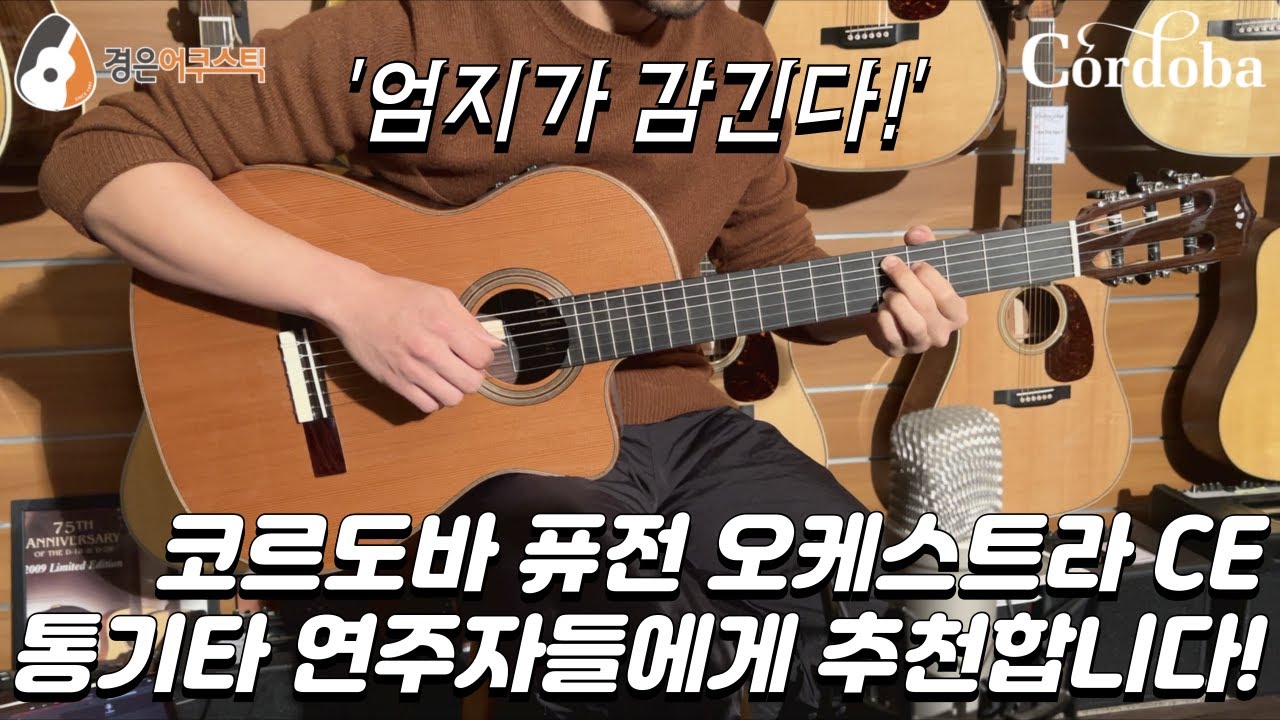 [코르도바] 코르도바 오케스트라 CE 기타 리뷰 (Cordoba Orchestra CE Guitar Review)