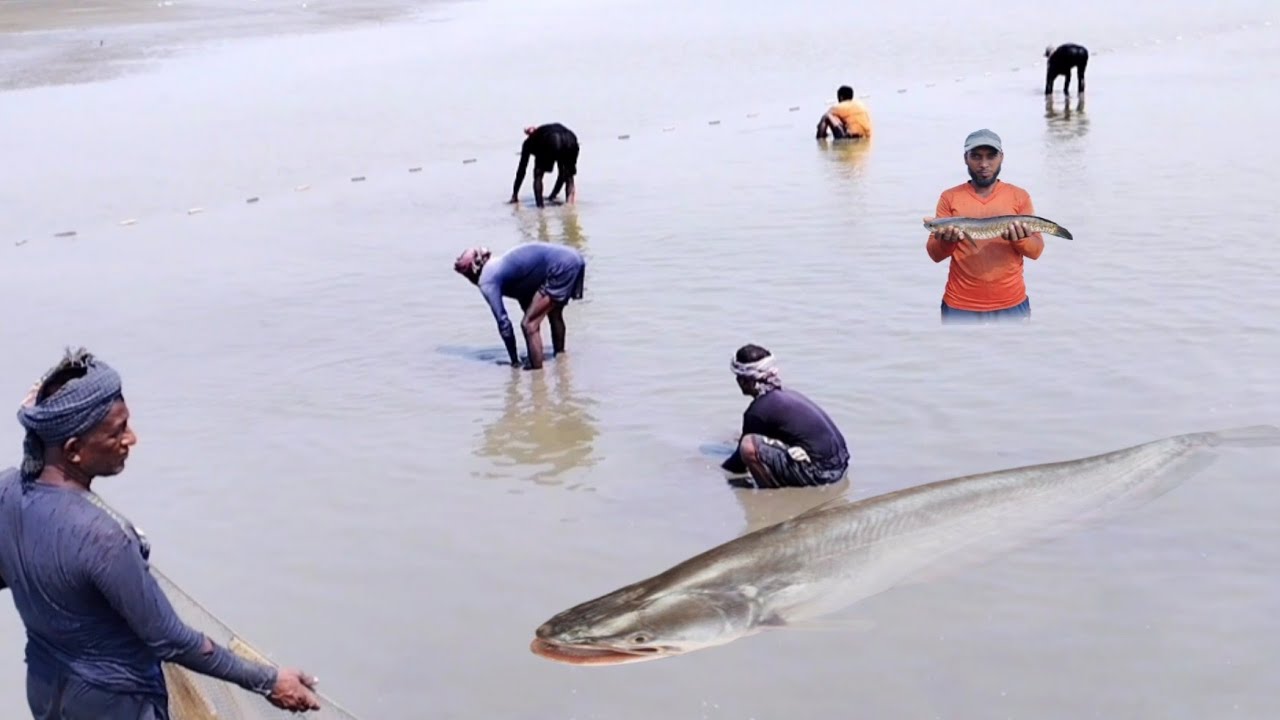 I started with the shail katla fish | fishing moment |fishing trip | best fishing | natural fishing