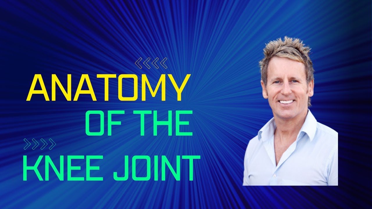 Functional Anatomy of the Knee Joint by John Gibbons