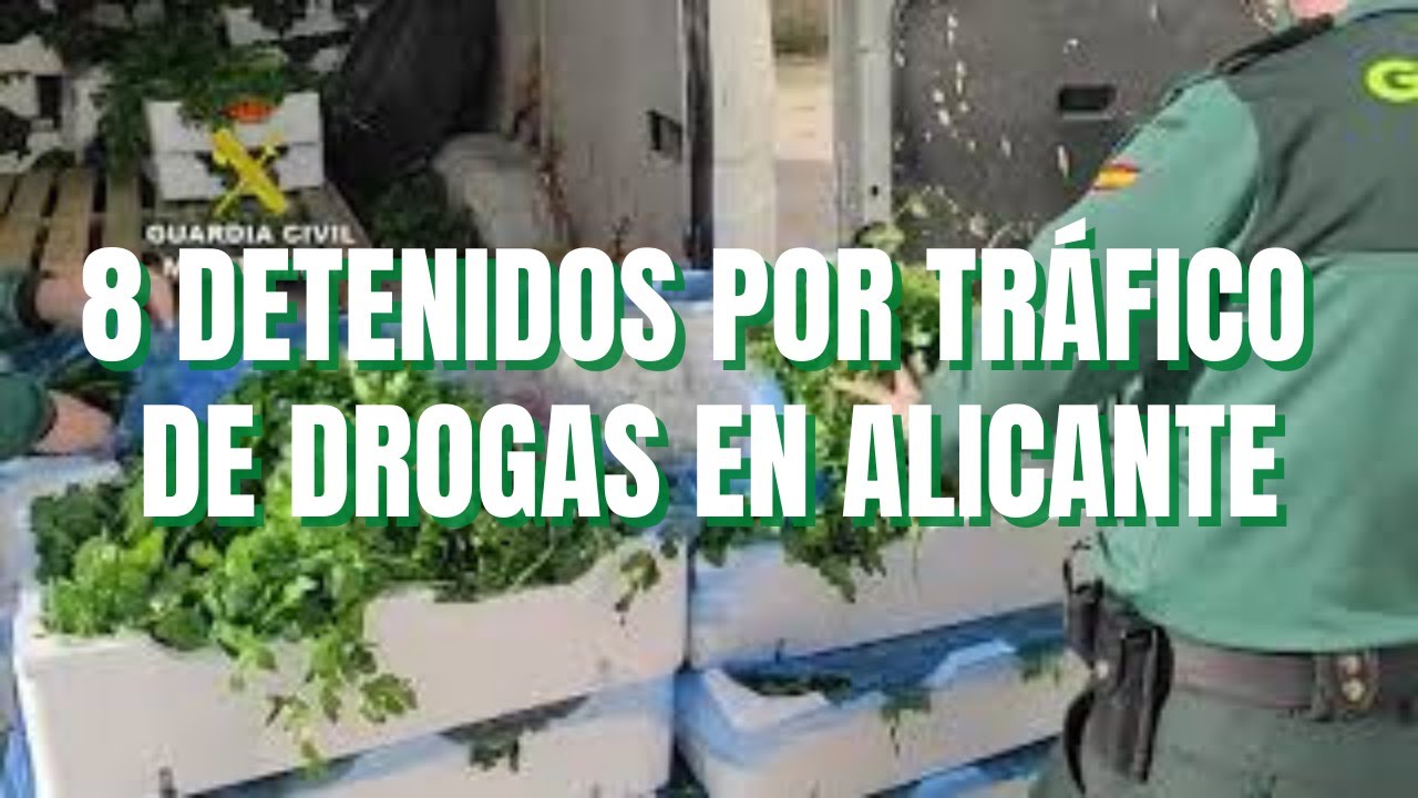 Detenidas ocho personas por tráfico de drogas en tres puntos distintos de la provincia de Alicante.