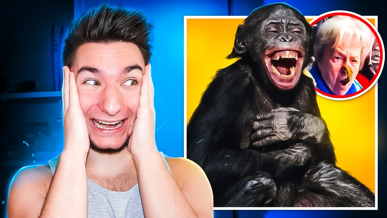 MAŁPY rzucające GÓWNEM w LUDZI !🙉 ( KOMPILACJA😂 )
