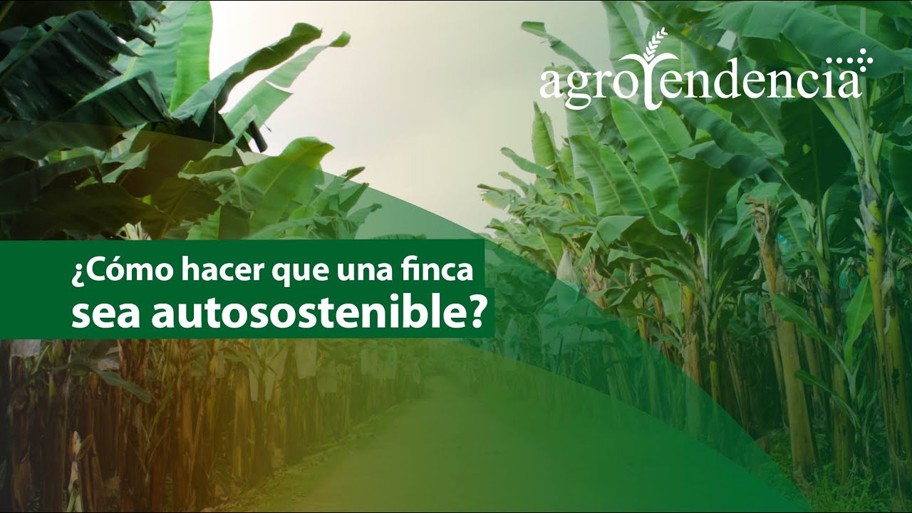 Finca Modelo con 450 hectáreas productivas
