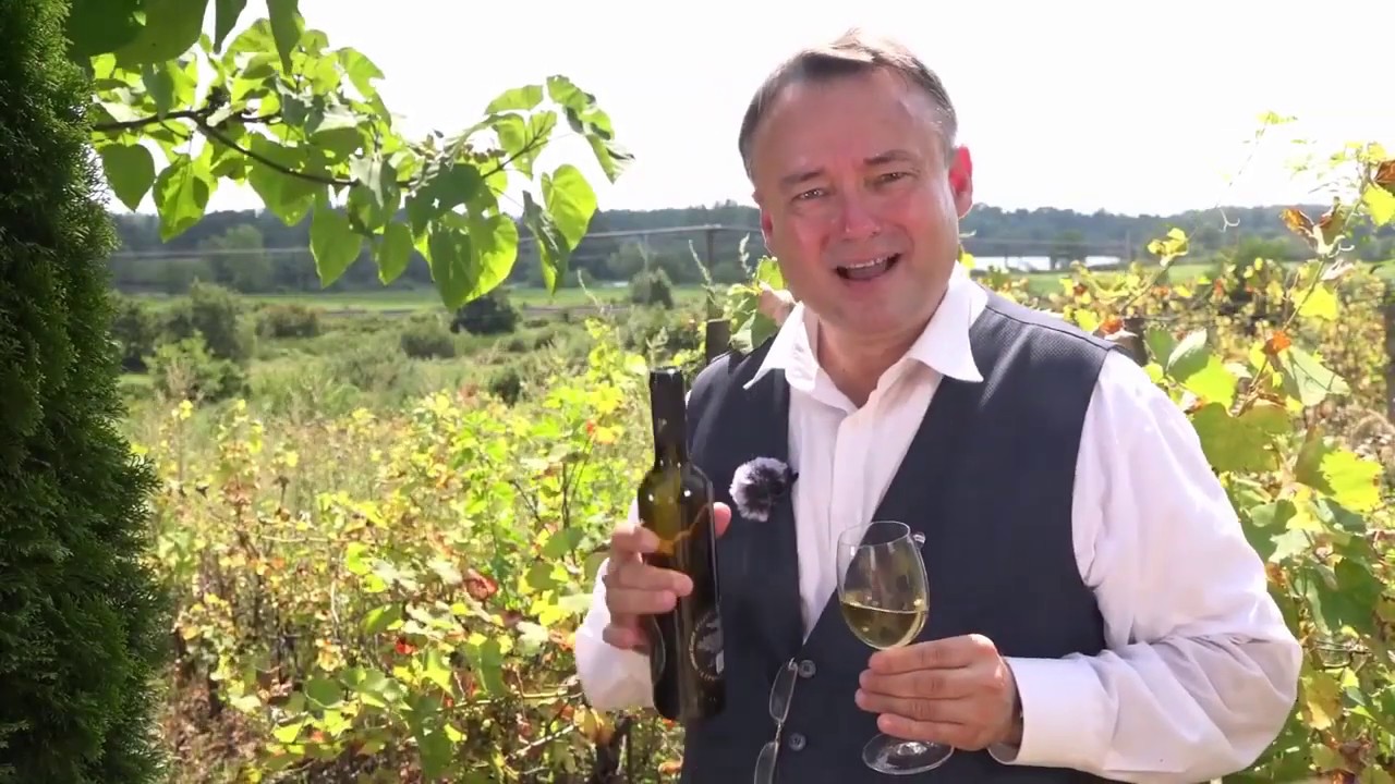 Viničky  Tokaj