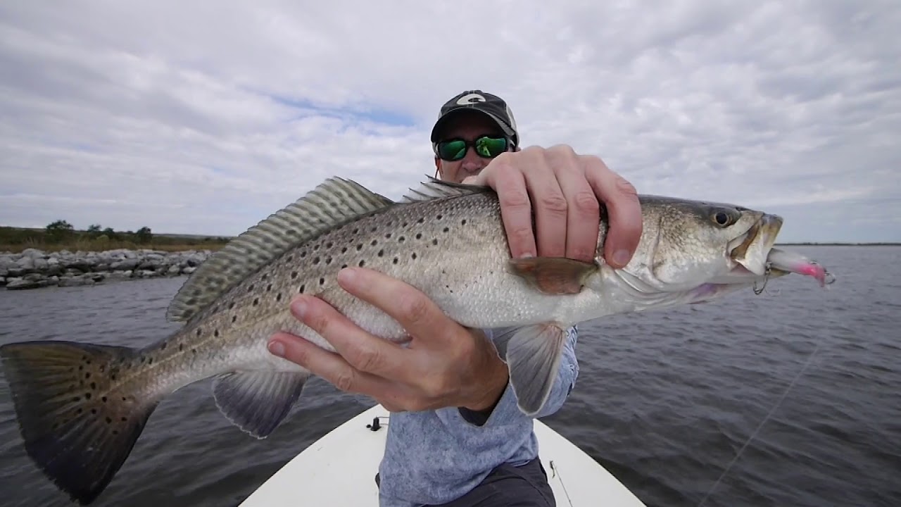 How to fish jerkbaits for Monster Speckled Trout