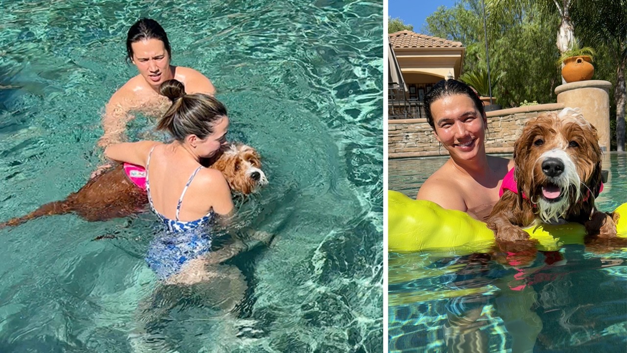 Teaching Our Puppy To Swim!