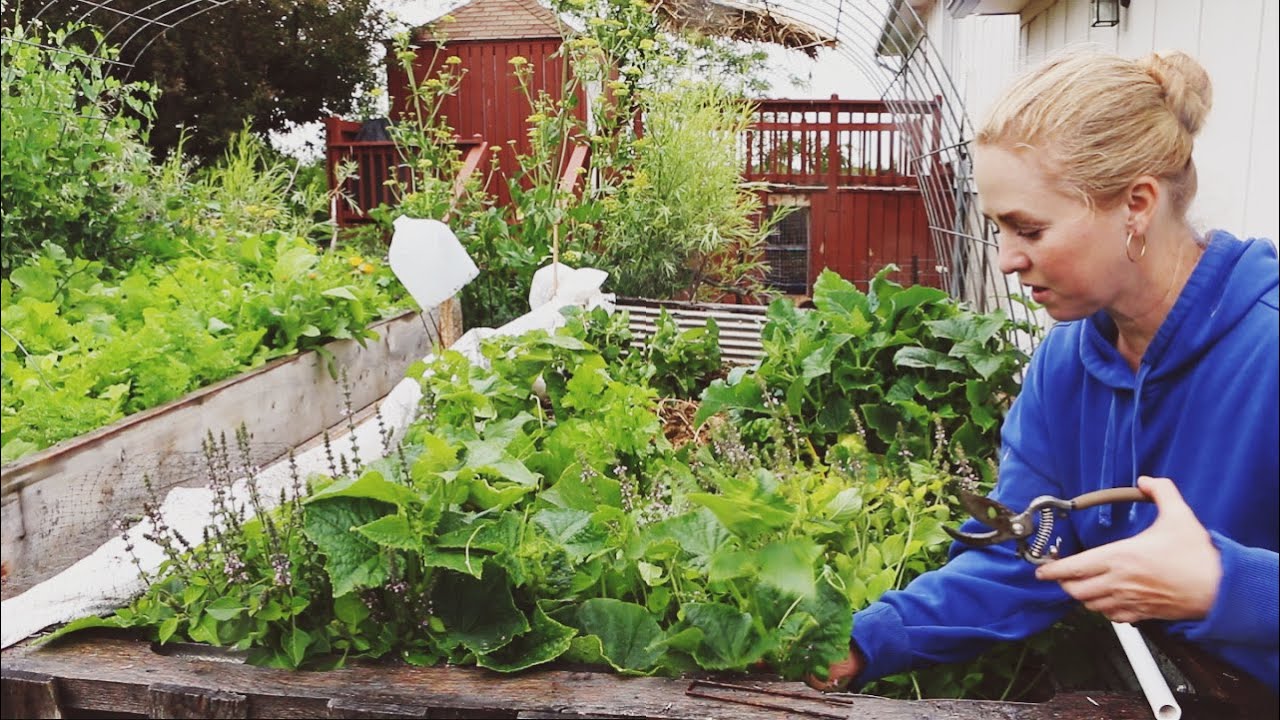How To Build A Pallet Raised Garden Bed From Scratch...And Turn It Into a Greenhouse
