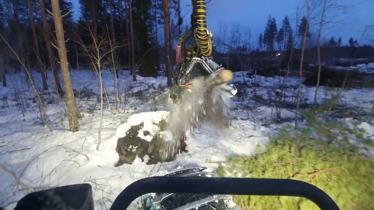 Talven isoin päätehakkuu ja pieni paljastus omista yritys hommista. Ponsse scorppion King h6
