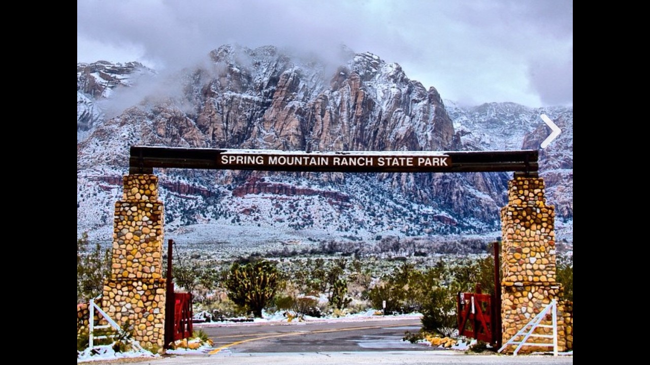 Spring Mountain Park Las Vegas Dog Walk Feb 2026