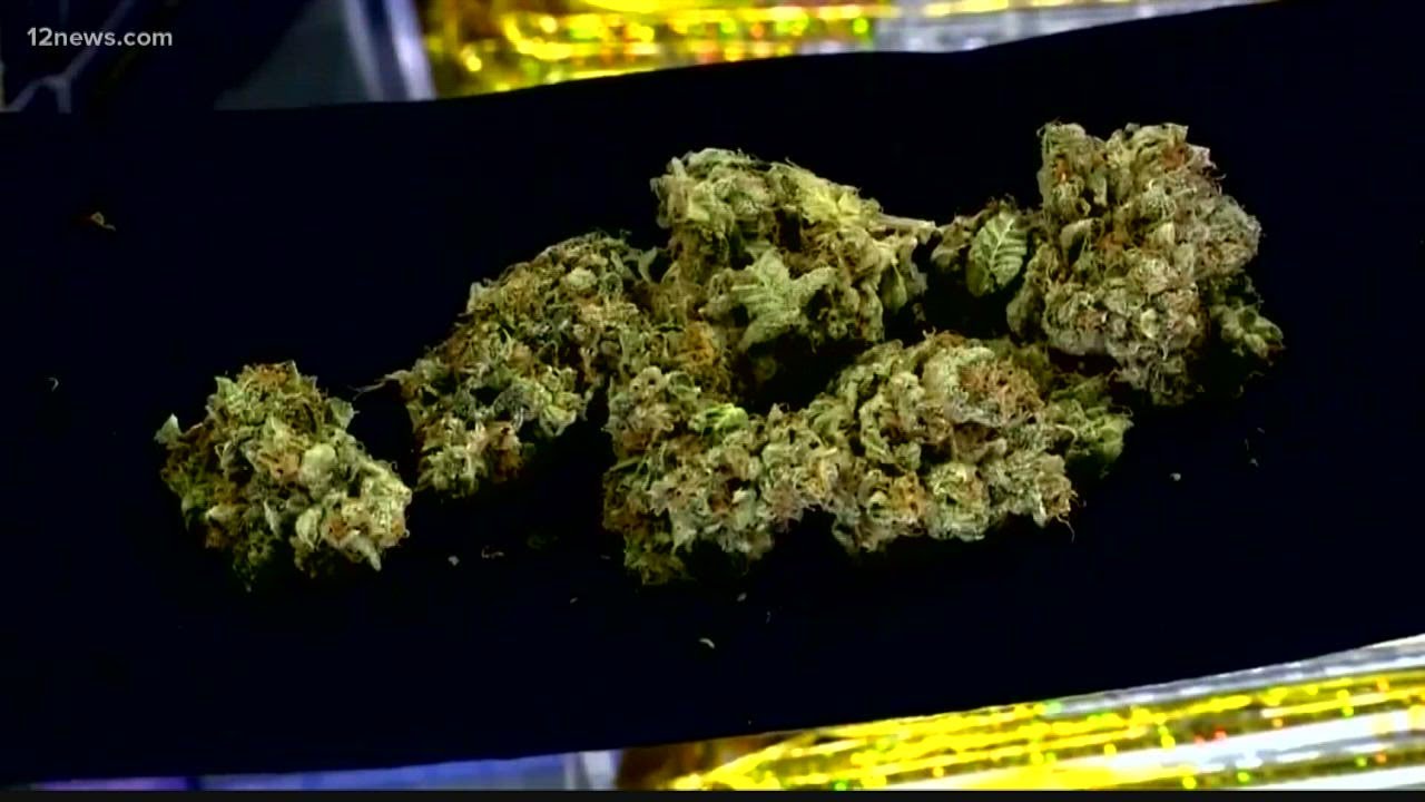 Multiple cannabis festivals coming soon to Arizona
