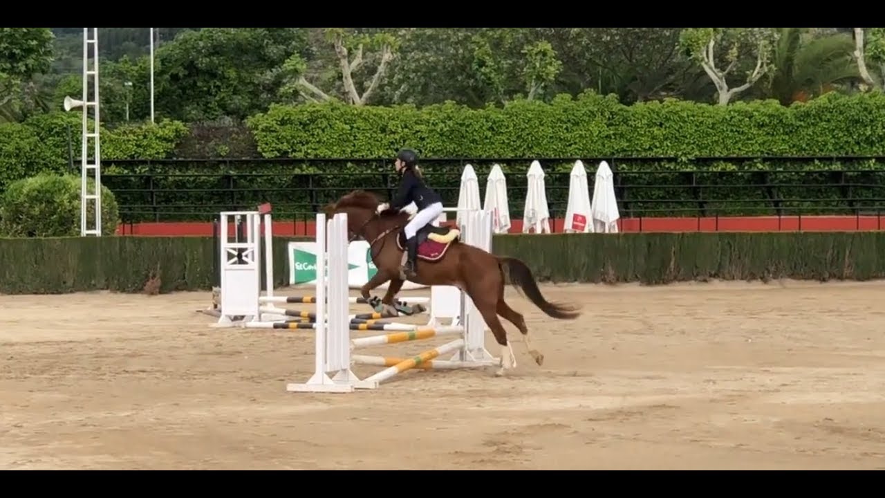 Mi concurso de salto a caballo con Babaloo