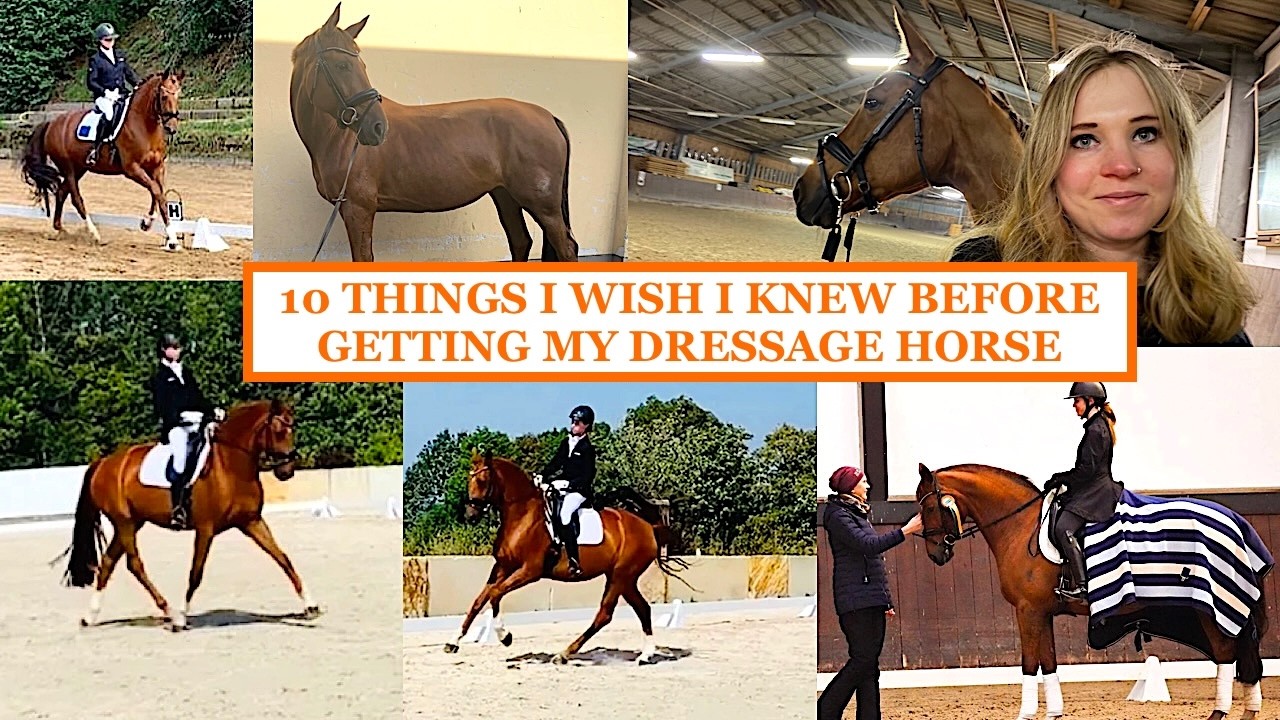 10 THINGS I WISH I KNEW BEFORE GETTING MY DRESSAGE HORSE