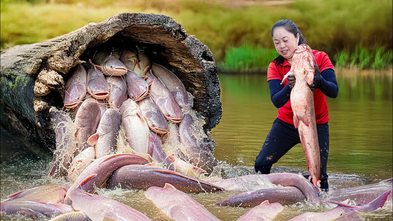Harvesting 500KG of Fish in the Mud Pond Goes to Market Sell | How I Catch Big Many Fish | Lý Thị Ca