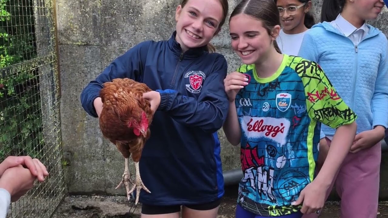 1st Year Trip to Causey Farm