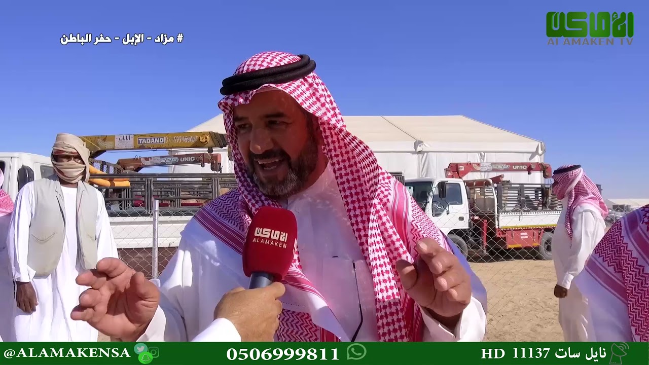 التقريرالخامس عشر من تحكيم الحمر ( قعدان وابكار )من مهرجان ومزاد حفر الباطن 2021
