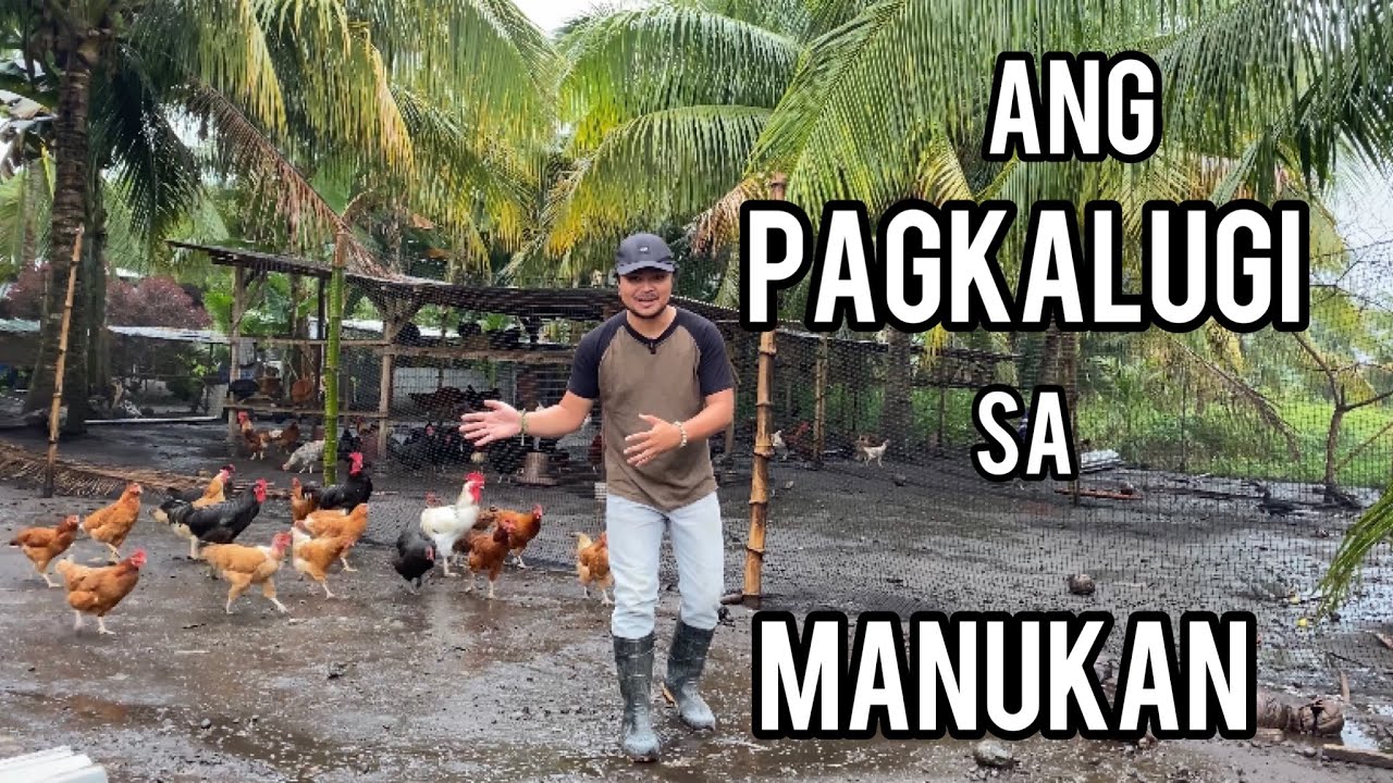 ₱3,340 FOR 150 KILOS OF FEEDS! MURA! QUALITY PA!