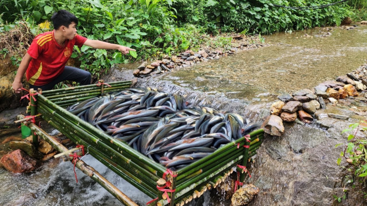 Young man makes bamboo trap. Unexpectedly catches a large catch of fish