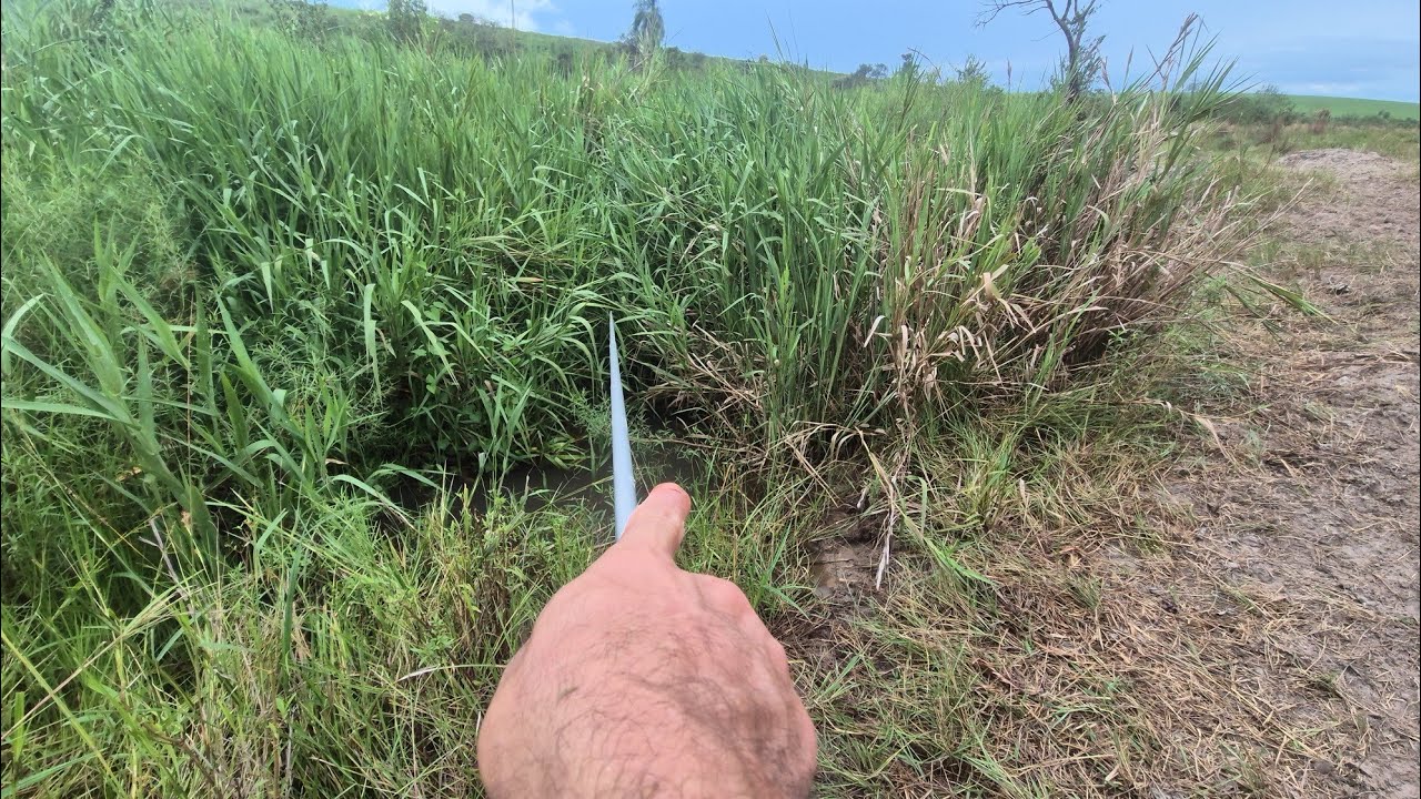 NESSE BURRACO NO MEIO DO MATO TAVA LOTADO DE PEIXE BRUTO!!!!