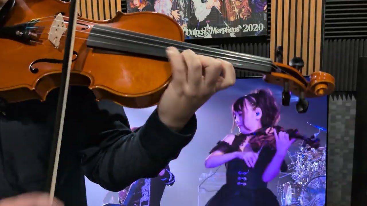 Unlucky Morpheus - La voix du sang - violin cover